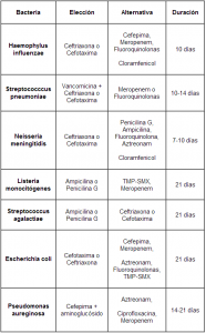 Meningitis bacteriana aguda en niños